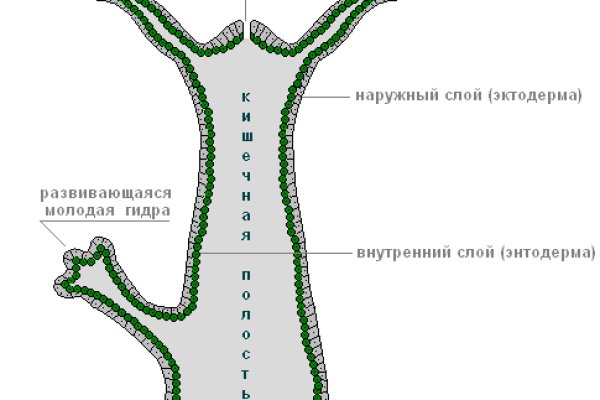 Кракен последние ссылки