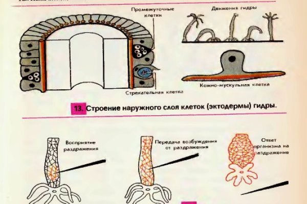 Кракен официальная ссылка kraken torion